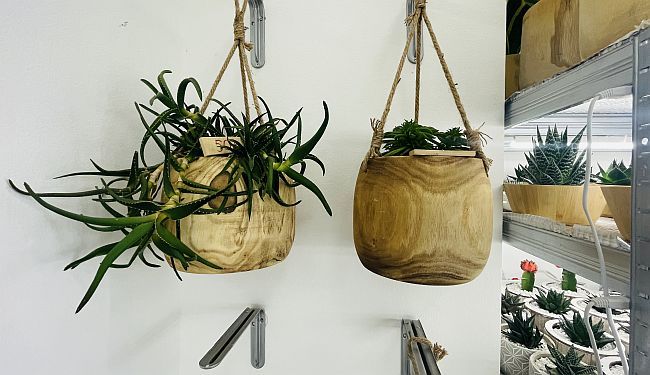 Razularena malograđanština