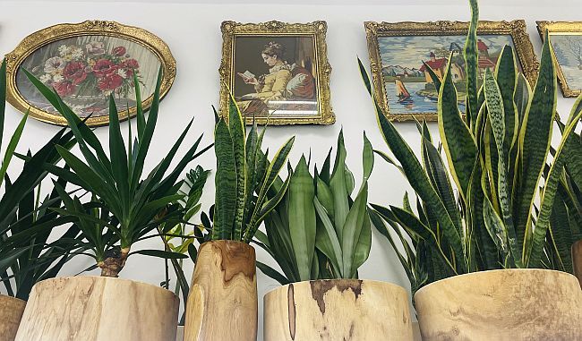 Razularena malograđanština