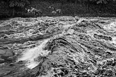 Svakodnevica Dženata Drekovića