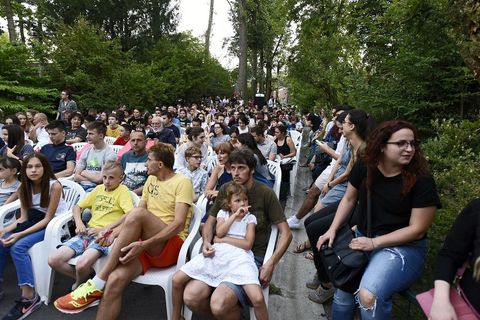 TA DIVNA STVORENJA: Kad se projekcija sakrije u ZOO vrt