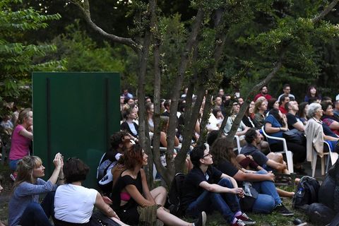 TA DIVNA STVORENJA: Kad se projekcija sakrije u ZOO vrt