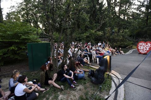 TA DIVNA STVORENJA: Kad se projekcija sakrije u ZOO vrt