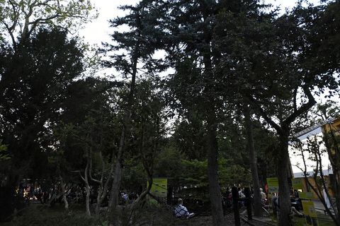 TA DIVNA STVORENJA: Kad se projekcija sakrije u ZOO vrt