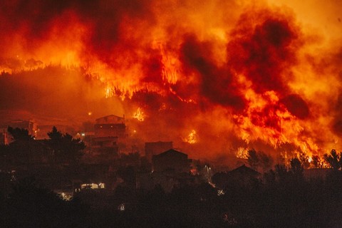 ŠTO JE DAMIRA SNIMILA U ŽRNOVNICI: Moj bože, pakao se spustio na zemlju!
