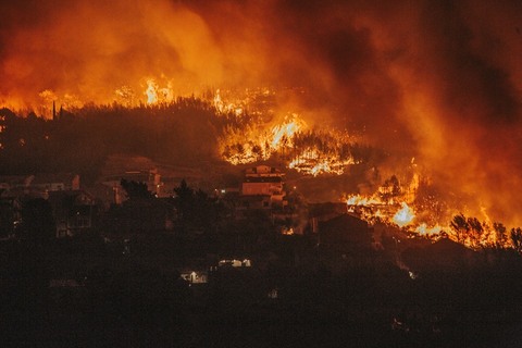 ŠTO JE DAMIRA SNIMILA U ŽRNOVNICI: Moj bože, pakao se spustio na zemlju!