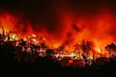ŠTO JE DAMIRA SNIMILA U ŽRNOVNICI: Moj bože, pakao se spustio na zemlju!