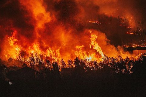 ŠTO JE DAMIRA SNIMILA U ŽRNOVNICI: Moj bože, pakao se spustio na zemlju!