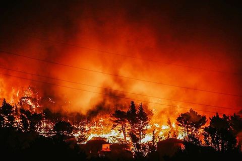 ŠTO JE DAMIRA SNIMILA U ŽRNOVNICI: Moj bože, pakao se spustio na zemlju!