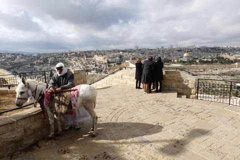 Na vidikovcu na Maslinskoj gori sa kojeg puca pogled na stari Jeruzalem ordiniraju maskote grada, palestinski čiča sa svojom magaricom koja guta bakšiš