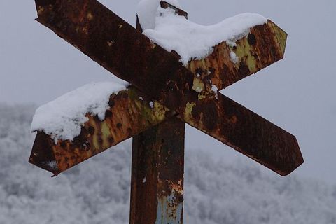 ISPRED LUPIGINOG OBJEKTIVA: Naši fotoreporteri vama za podršku