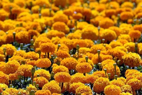 ISPRED LUPIGINOG OBJEKTIVA: Naši fotoreporteri vama za podršku