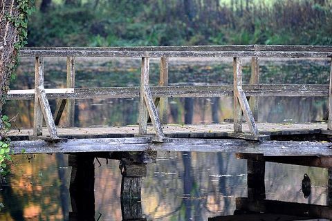 ISPRED LUPIGINOG OBJEKTIVA: Naši fotoreporteri vama za podršku
