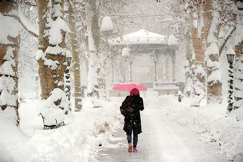 ISPRED LUPIGINOG OBJEKTIVA: Naši fotoreporteri vama za podršku