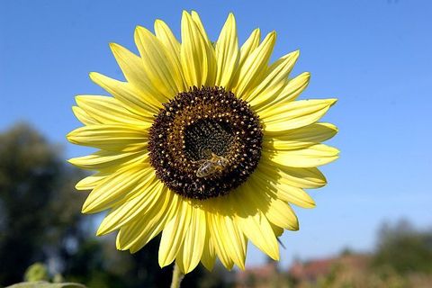 ISPRED LUPIGINOG OBJEKTIVA: Naši fotoreporteri vama za podršku